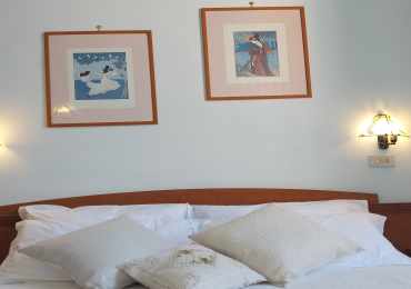 Camere &copy; 